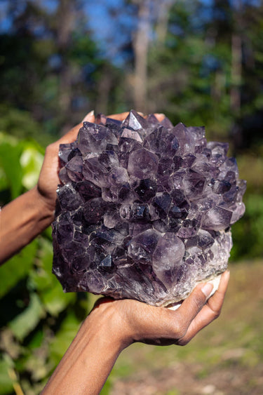 Amethyst Rosette